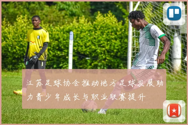 江苏足球协会推动地方足球发展助力青少年成长与职业联赛提升