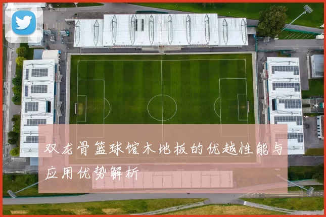 双龙骨篮球馆木地板的优越性能与应用优势解析