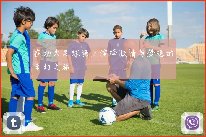 在功夫足球场上演绎激情与梦想的奇幻之旅